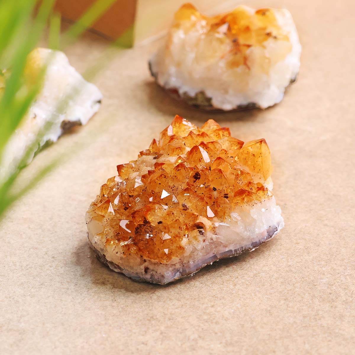 Citrine Cluster Small Point (7)