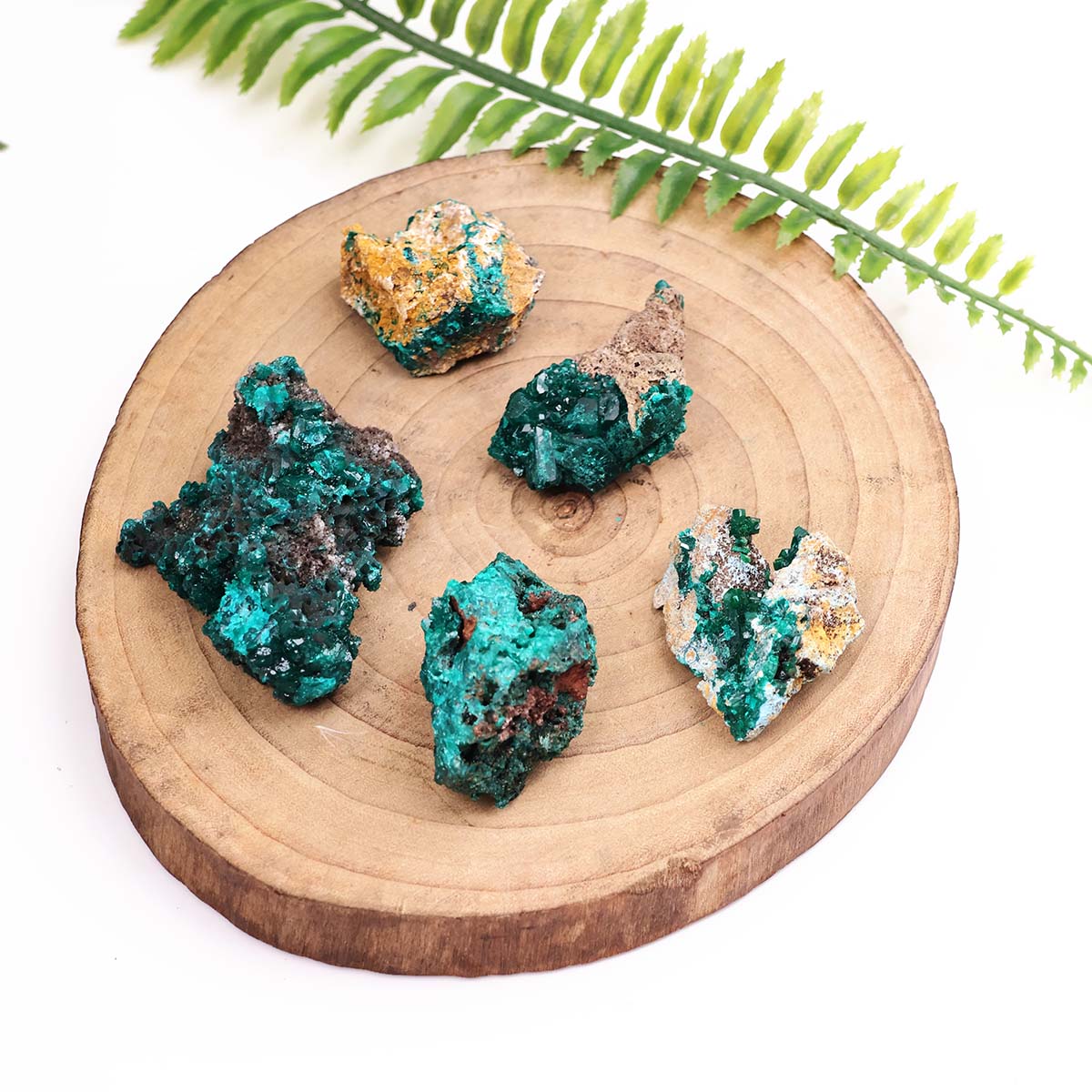 Dioptase Cluster (2)