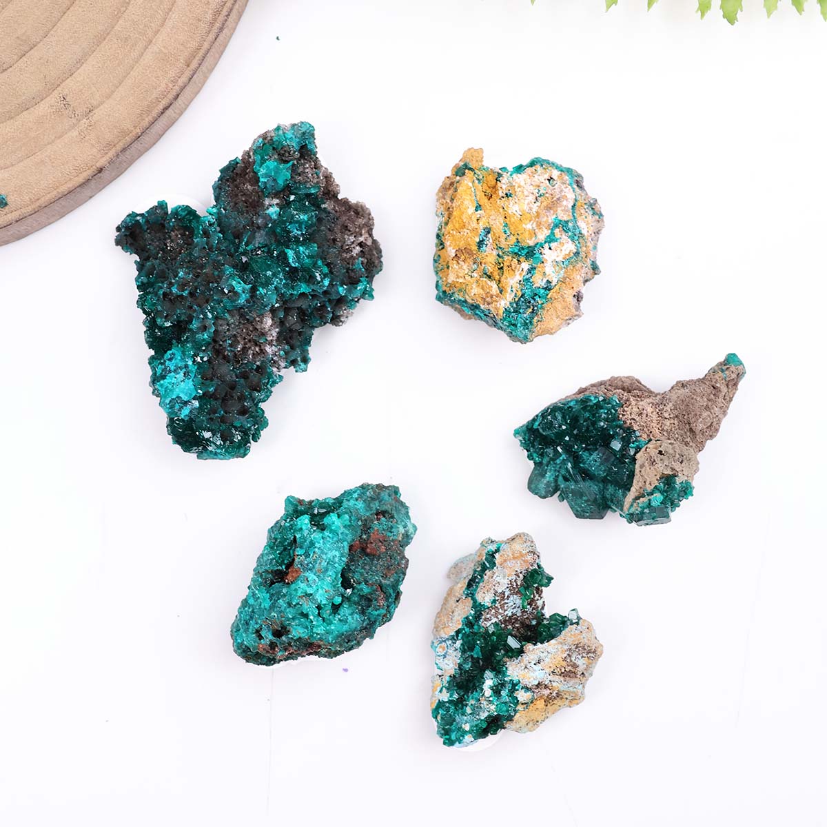 Dioptase Cluster (3)