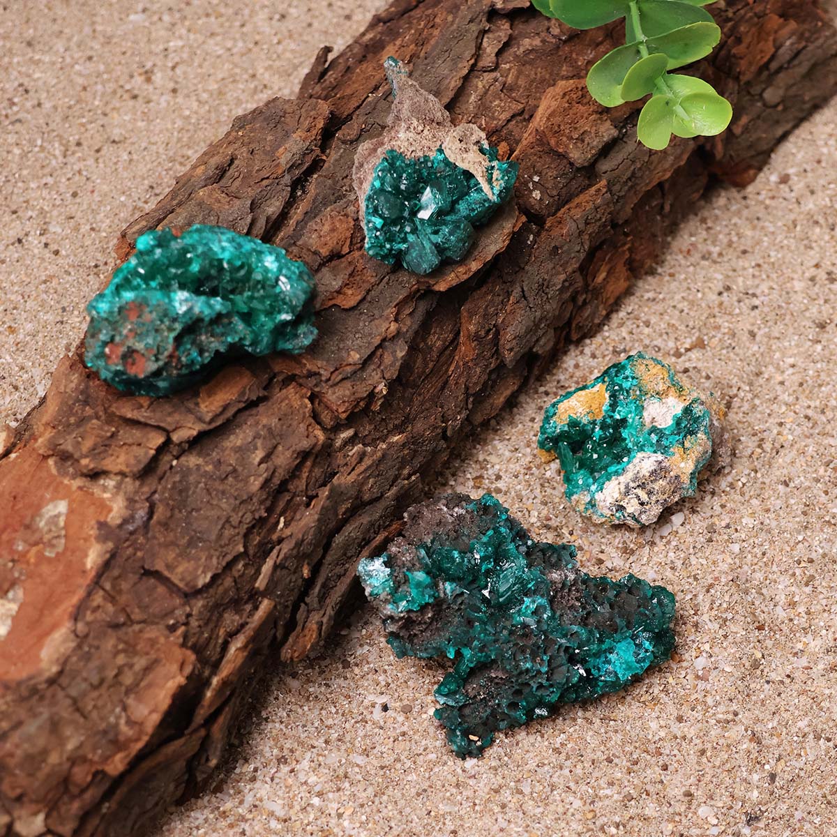 Dioptase Cluster (4)