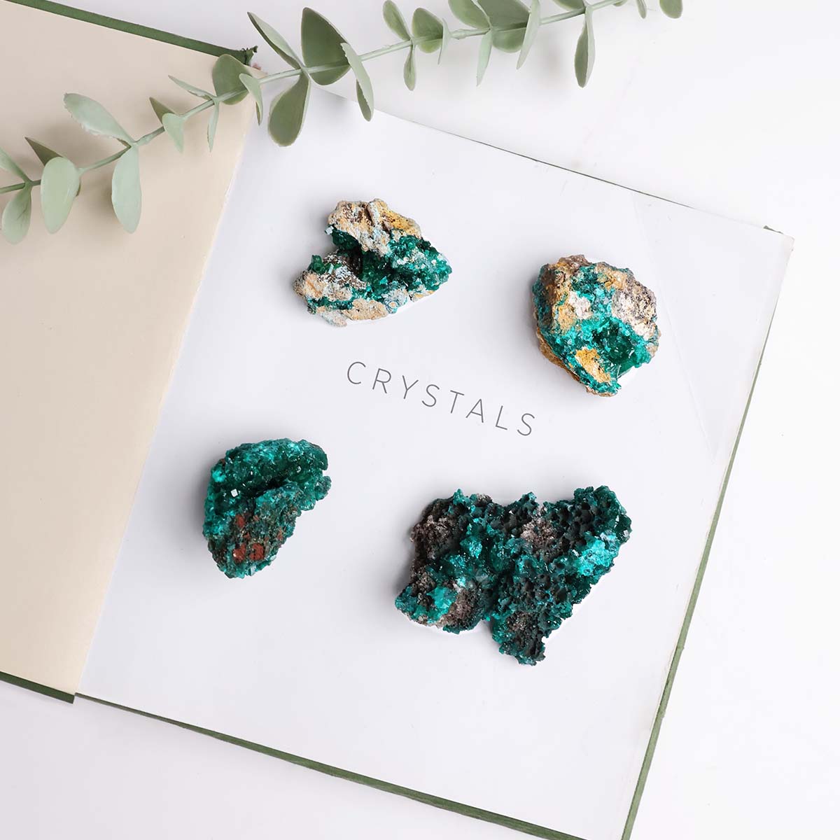 Dioptase Cluster (6)