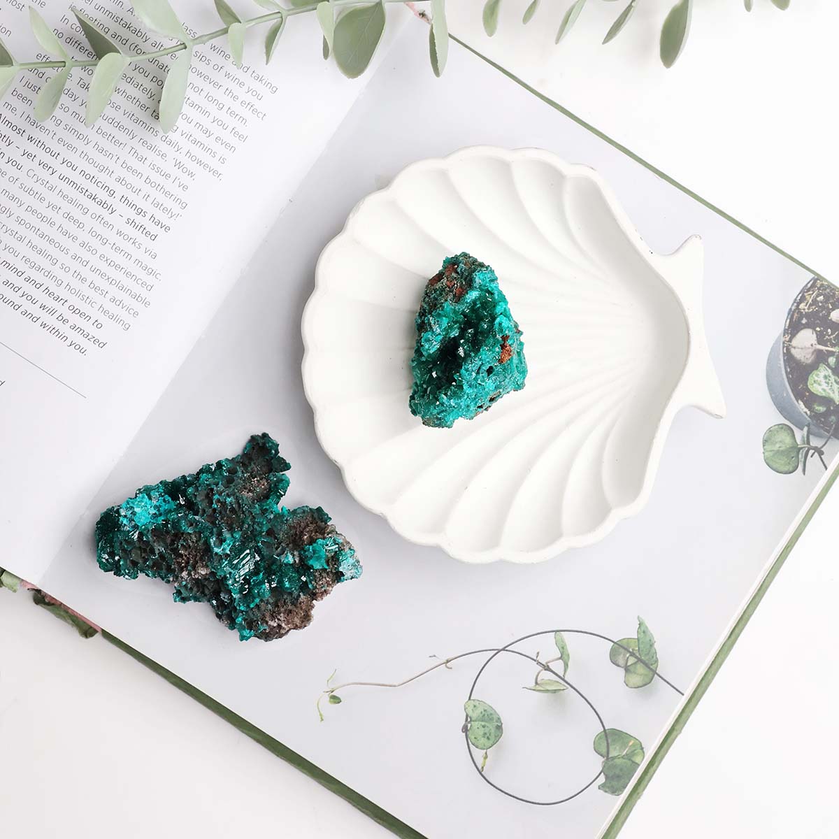 Dioptase Cluster (7)