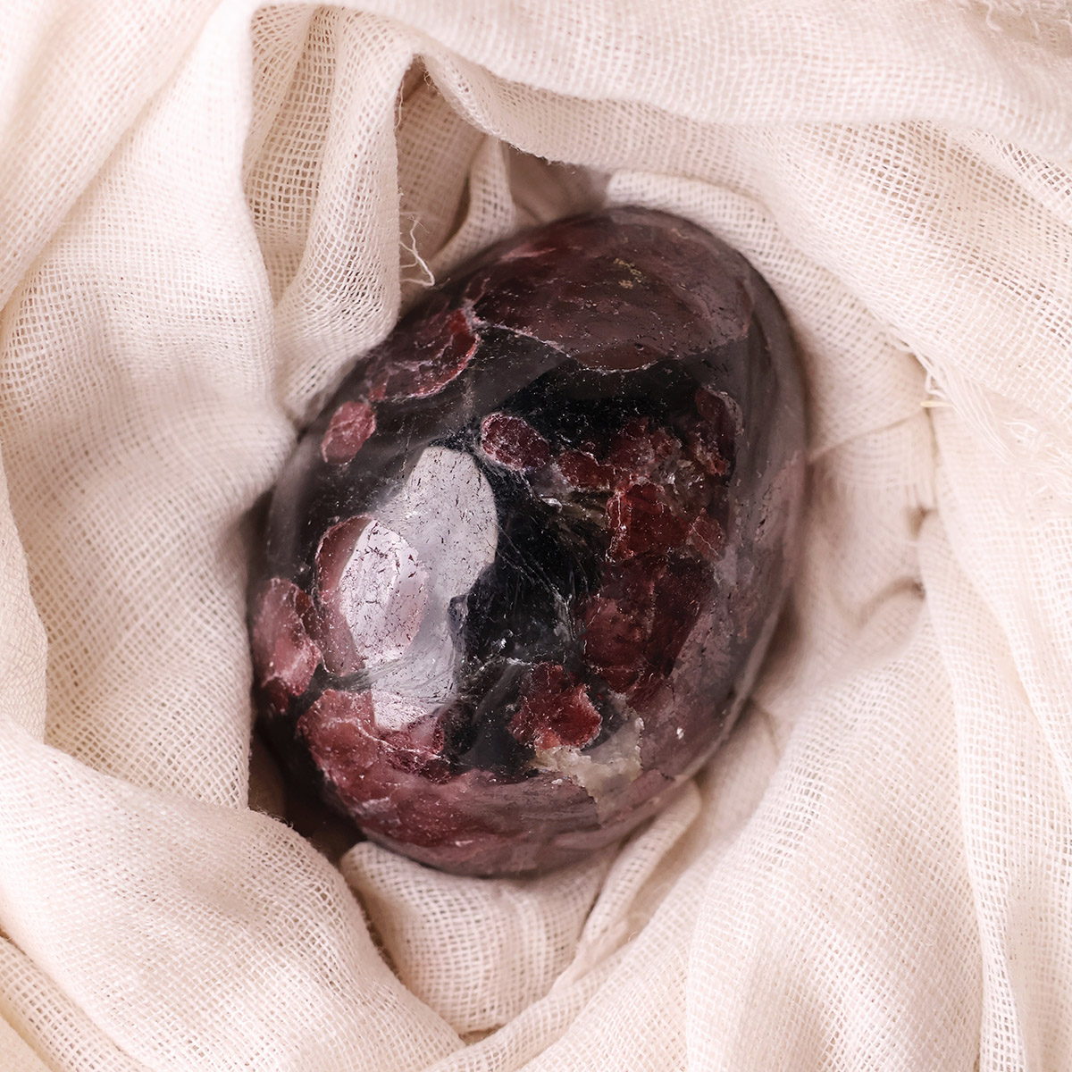 Garnet With Astrophyllite Egg (6)