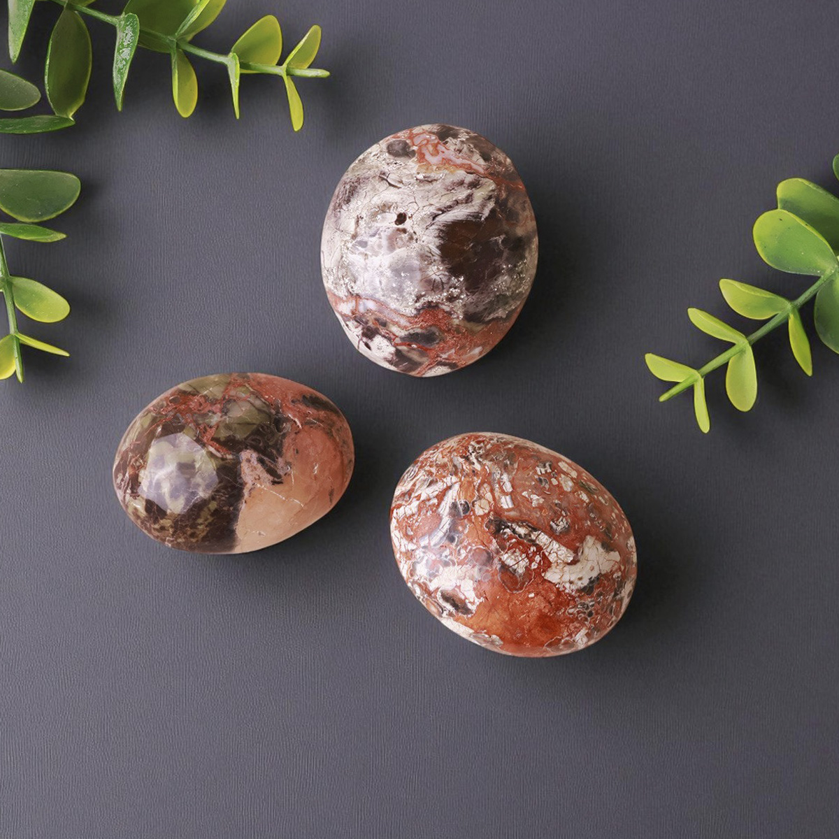 Money Agate Palm Stone (2)