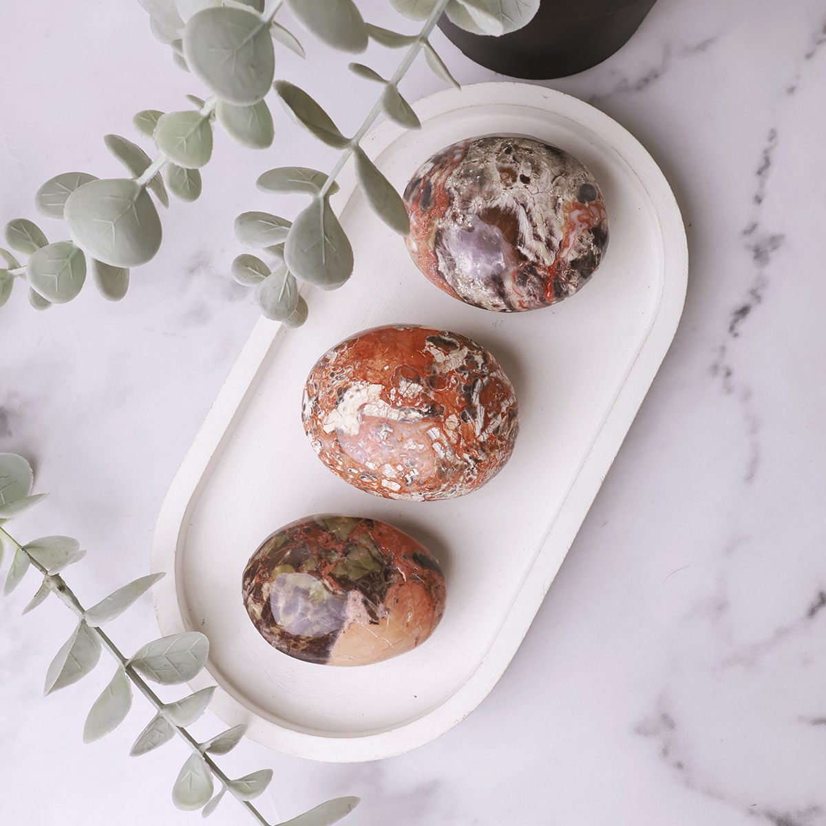 Money Agate Palm Stone (4)