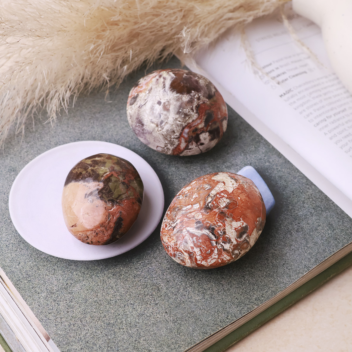 Money Agate Palm Stone (5)