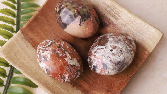 Money Agate Palm Stone