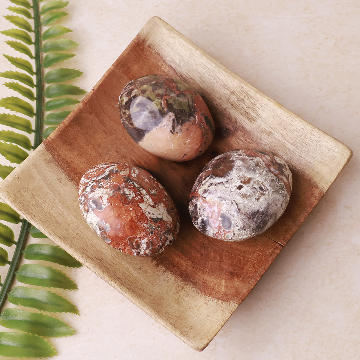 Money Agate Palm Stone (6)