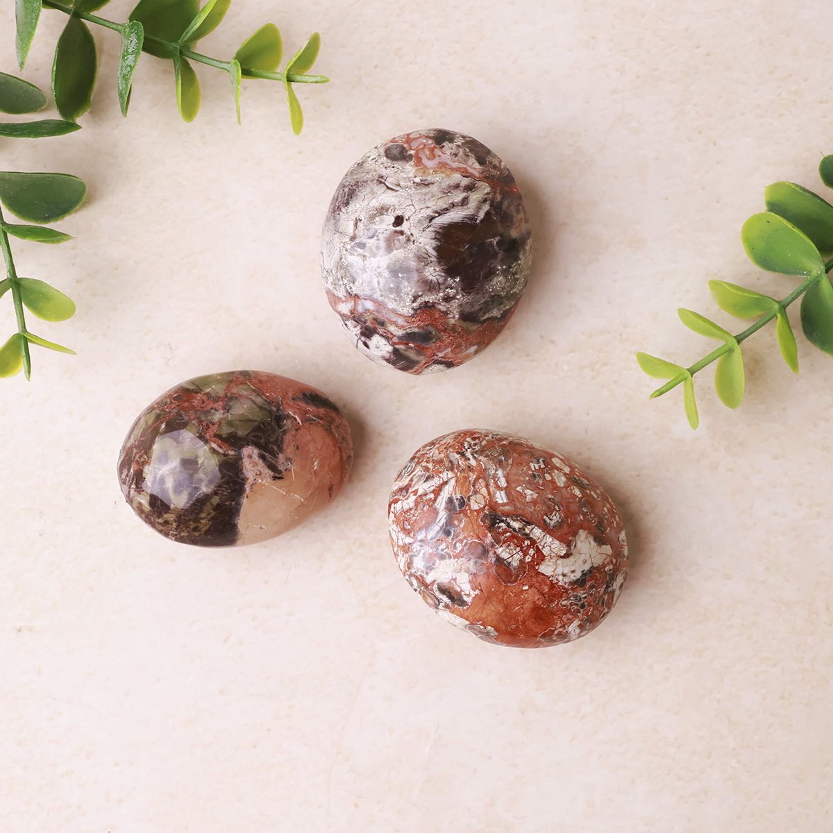 Money Agate Palm Stone (7)