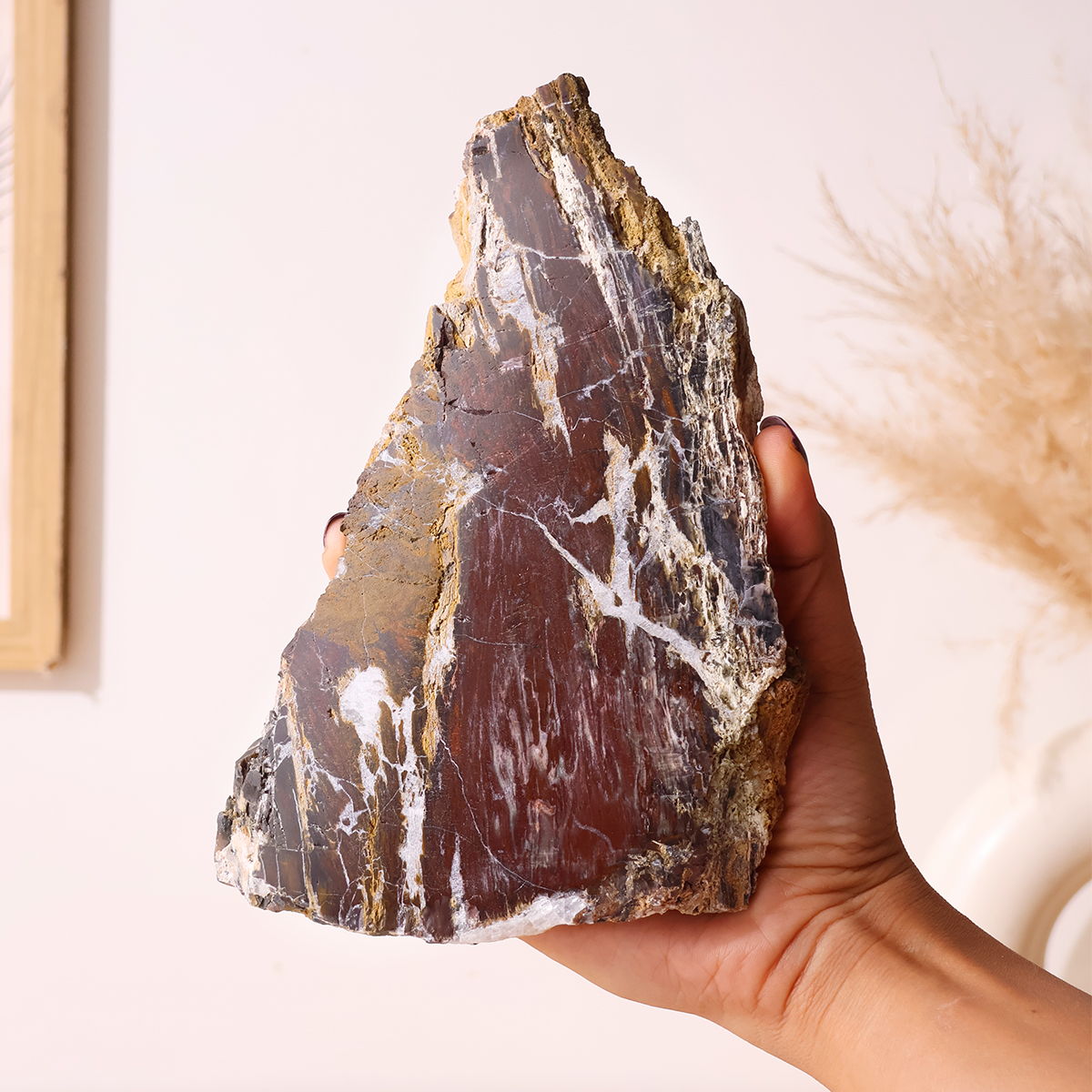 Red Petrified Wood Slab (10)