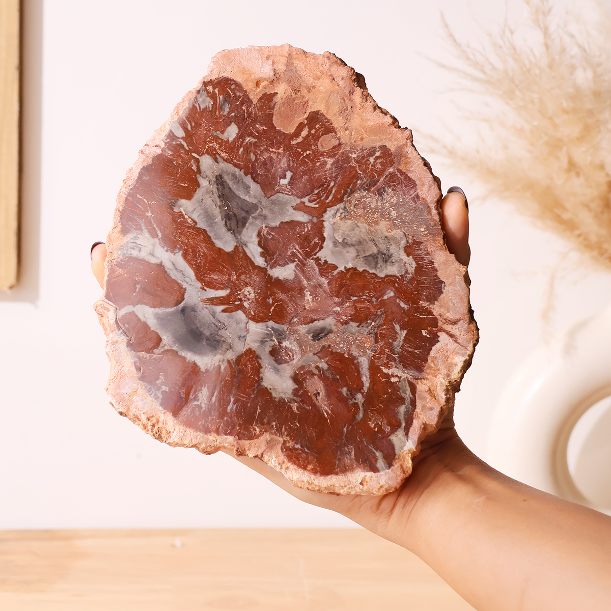 Red Petrified Wood Slab (11)