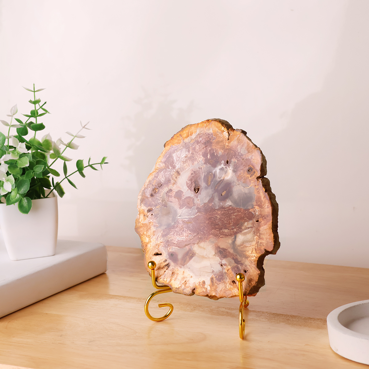 Red Petrified Wood Slab (13)