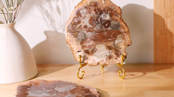 Red Petrified Wood Slab