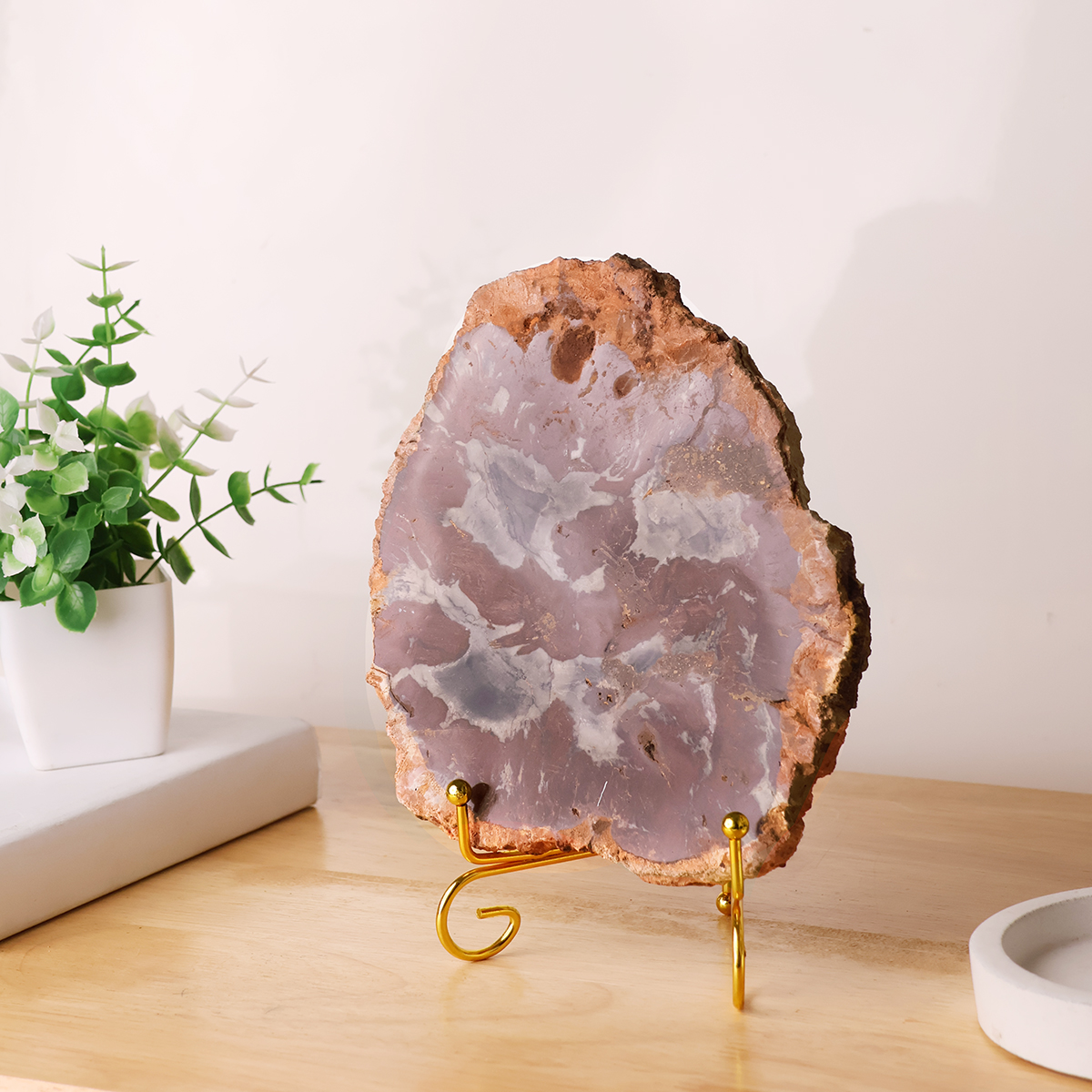 Red Petrified Wood Slab (18)