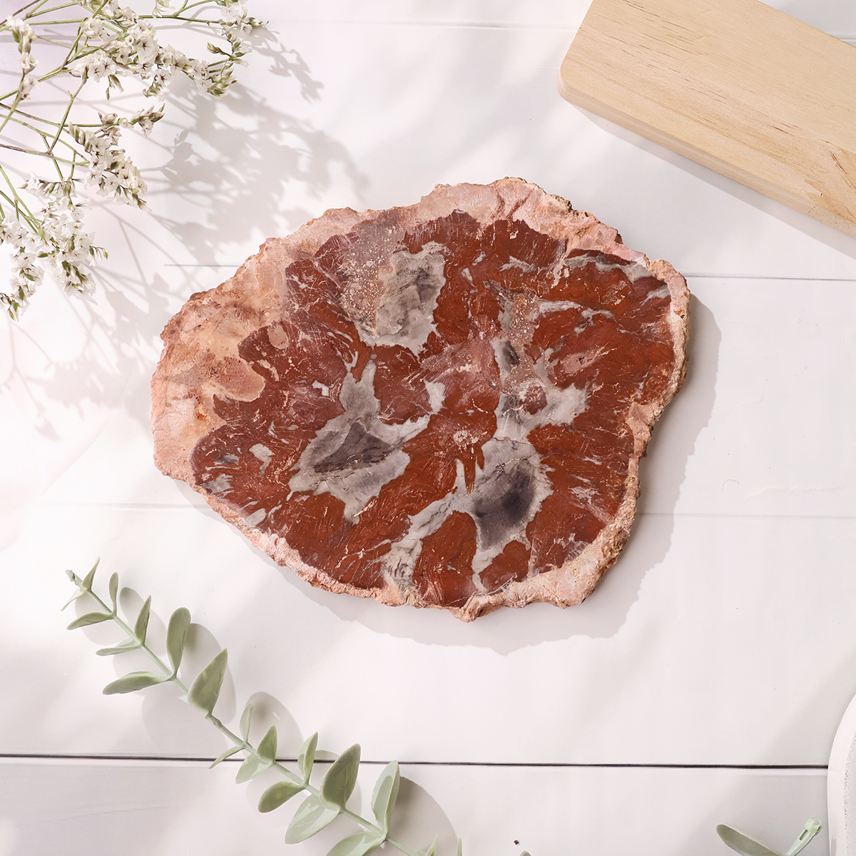 Red Petrified Wood Slab (21)