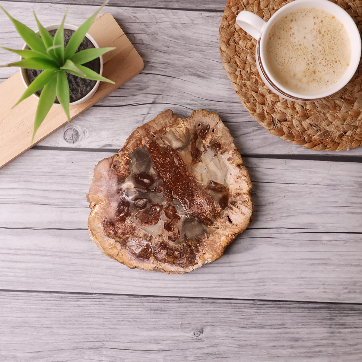 Red Petrified Wood Slab (3)