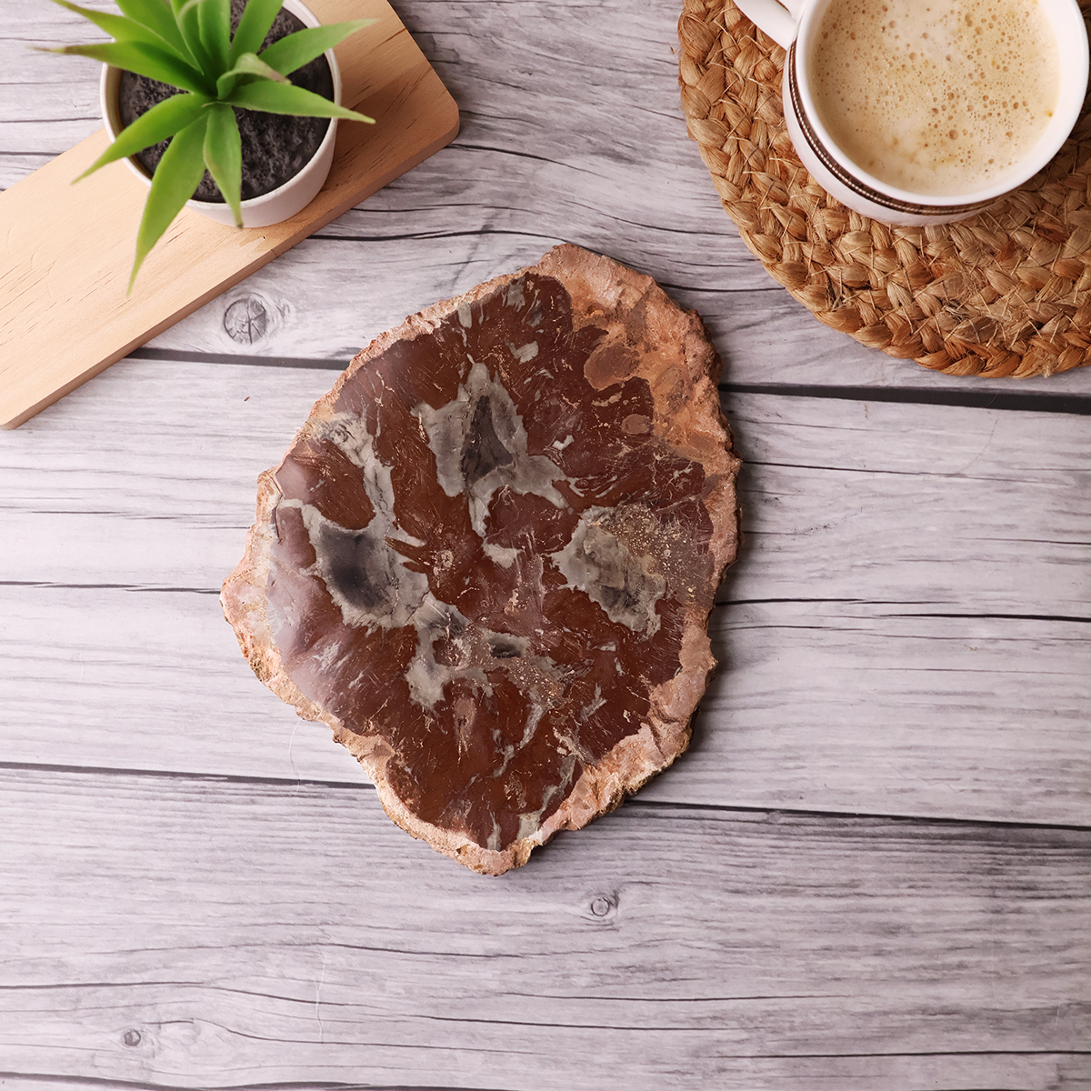 Red Petrified Wood Slab (4)