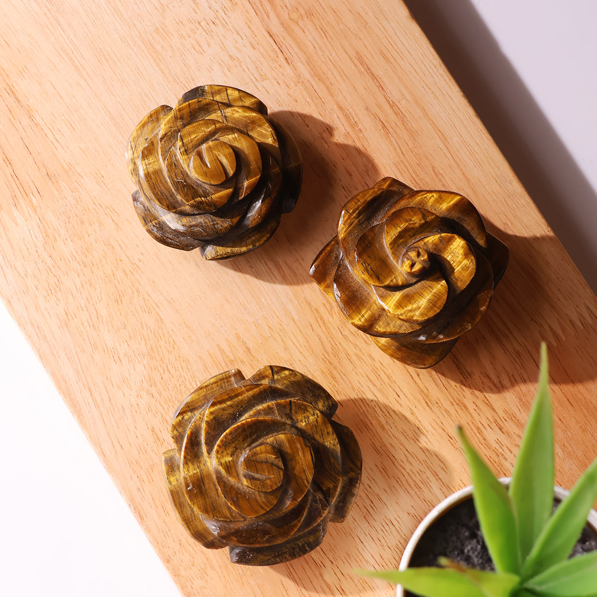 Tiger Eye Flower (7)