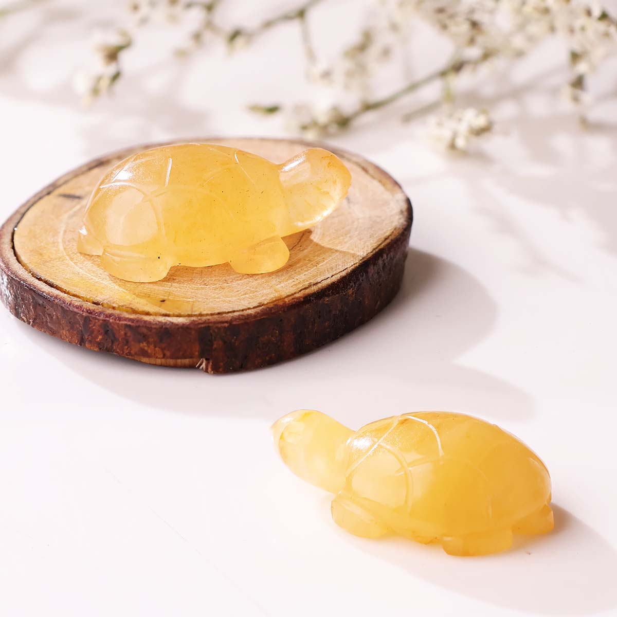 Golden Quartz Small Tortoise Plain (6)