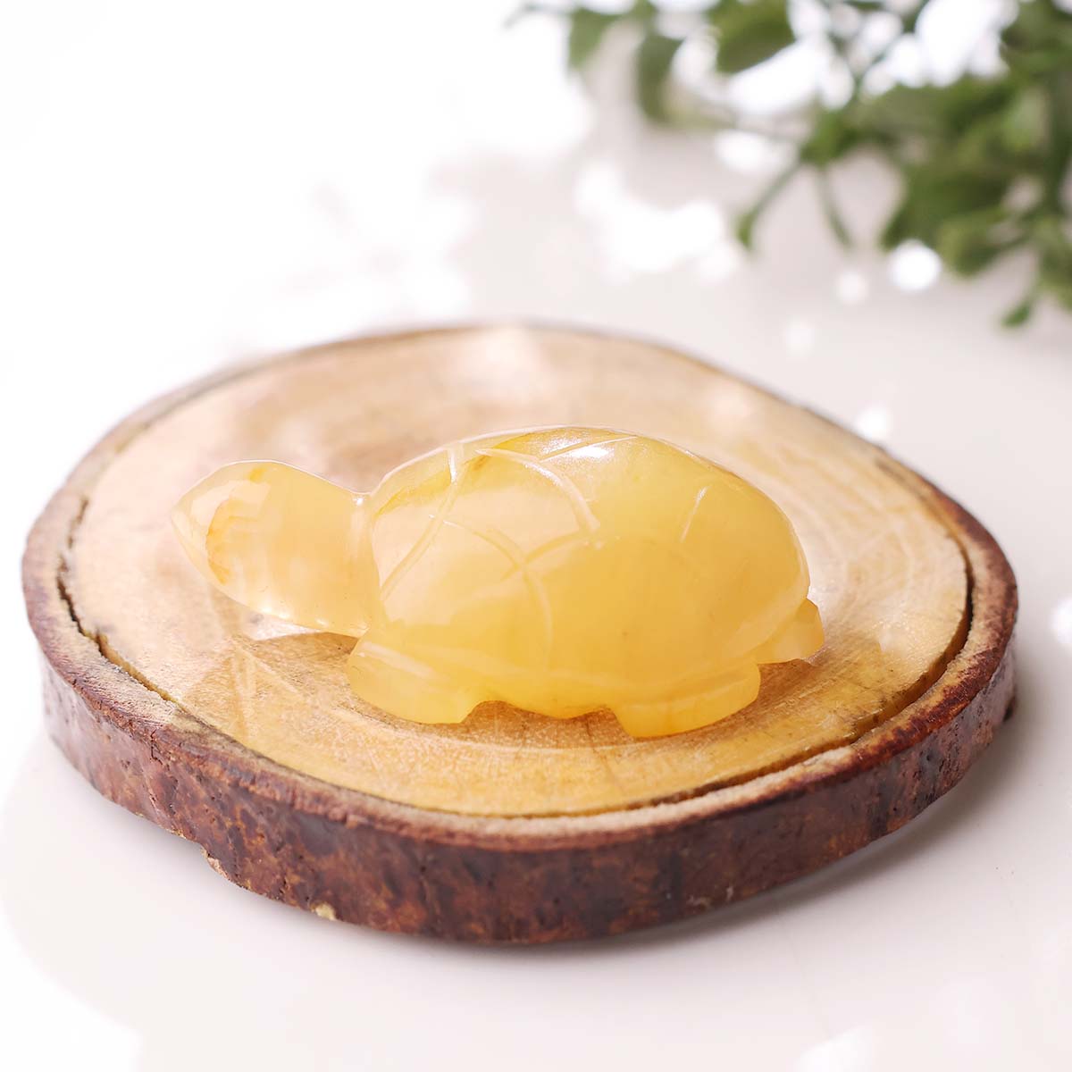 Golden Quartz Small Tortoise Plain (7)