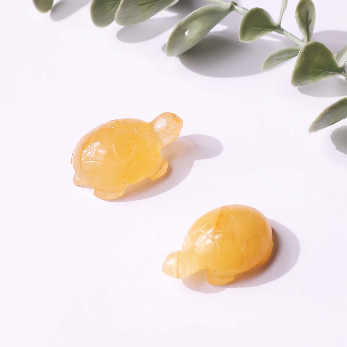 Golden Quartz Small Tortoise Plain (8)