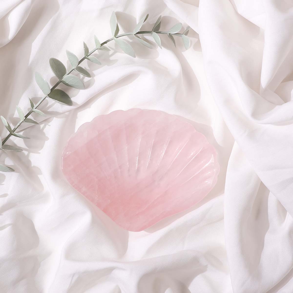 Rose Quartz Shell (7)