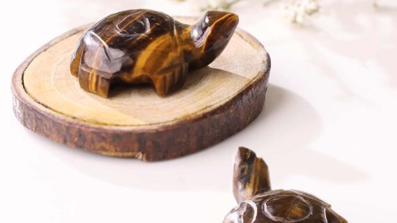 Tiger Eye Small Tortoise Plain