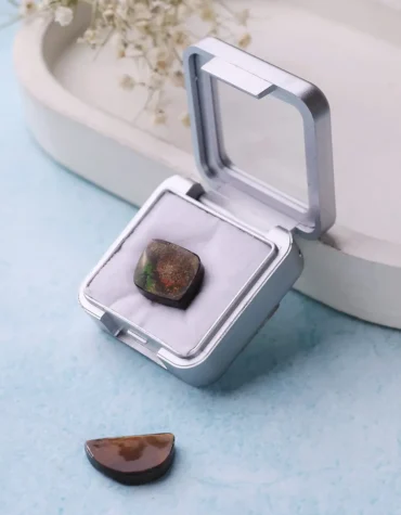 ammolite cabochon