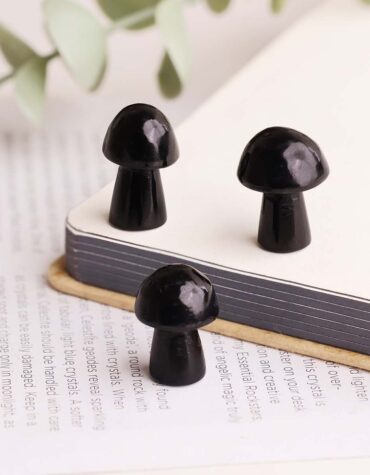 Black Agate Mushroom - Shubhanjali Store