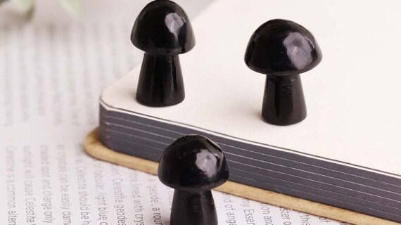 Black Agate Mushroom