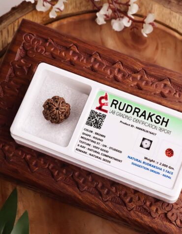 Five Face Rudraksha-Shubhanjali Store
