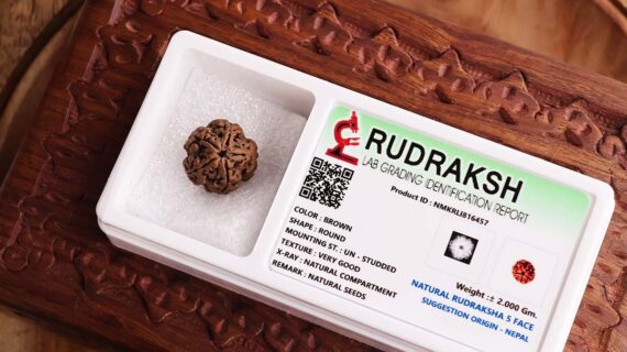 Five Face Rudraksha