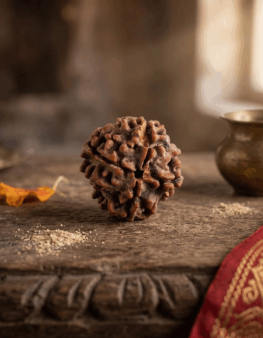 Four Face Rudraksha-Shubhanjali Store
