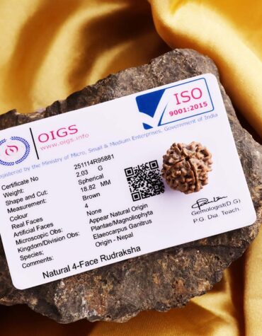 Four Face Rudraksha-Shubhanjali Store