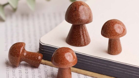 Gold Stone Mushroom