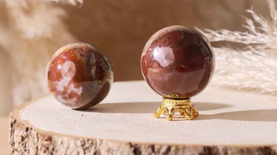 Petrified Wood Mini Sphere