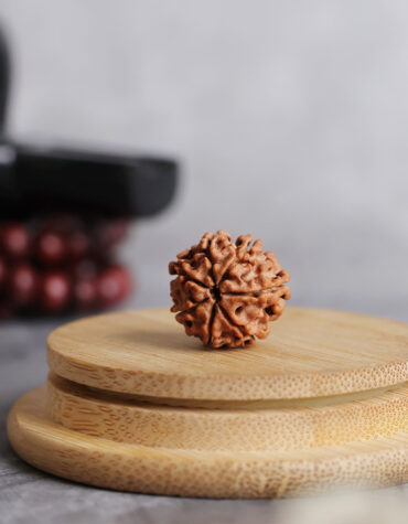 seven face rudraksha