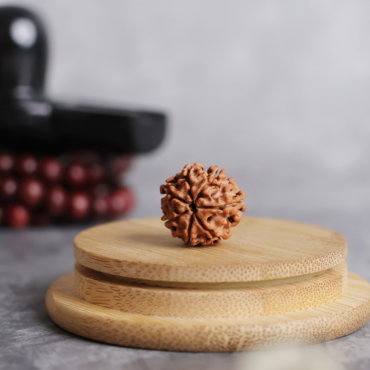 Seven Face Rudraksha-Shubhanjali Store (1) seven face rudraksha