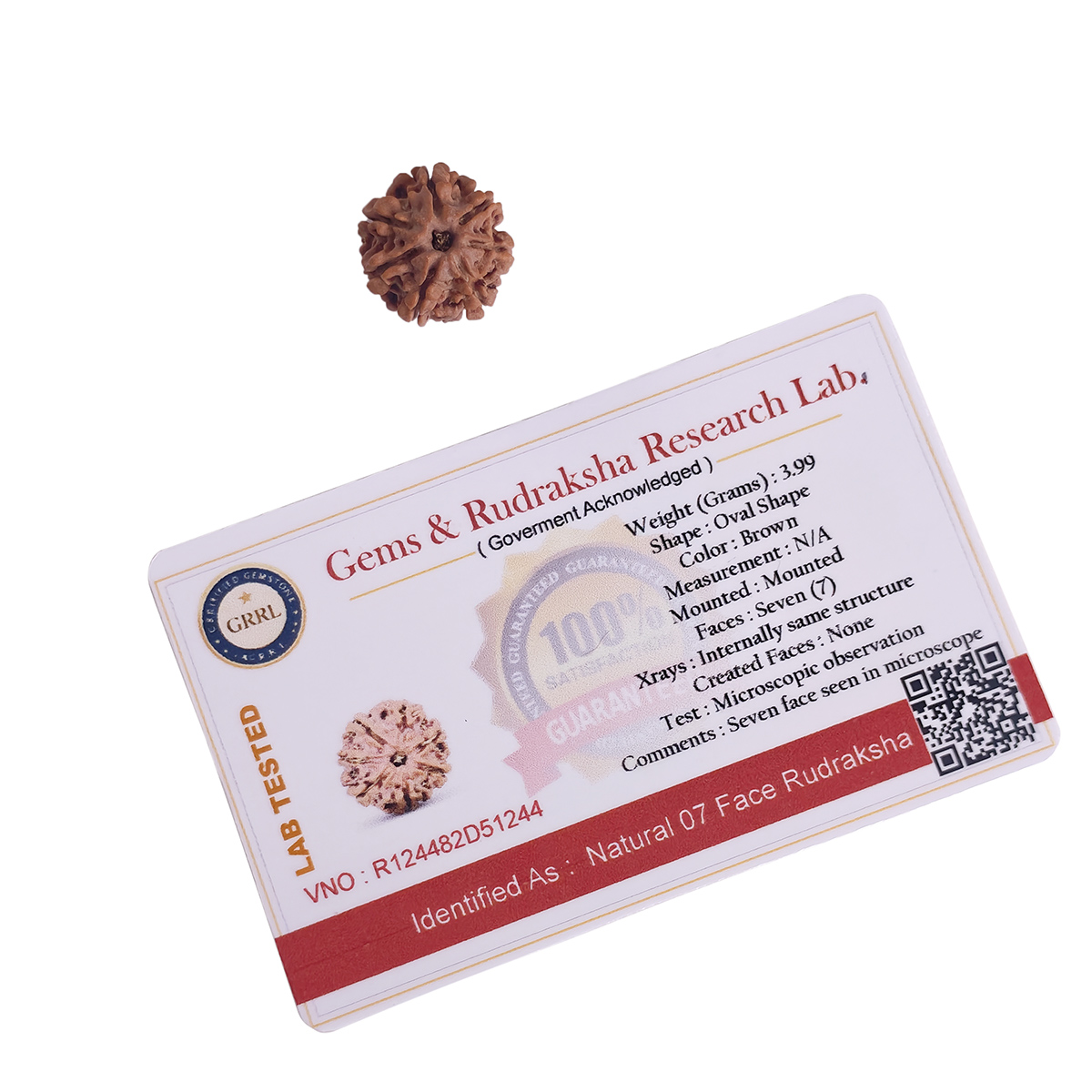Seven Face Rudraksha-Shubhanjali Store (2) seven face rudraksha
