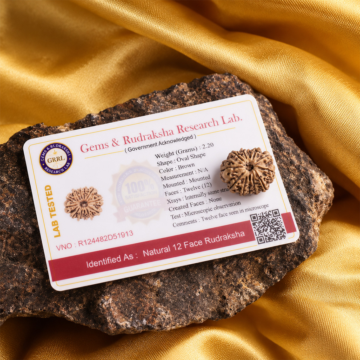 12 Face Rudraksha (1) 12 face rudraksha