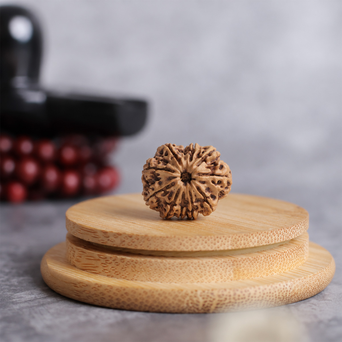12 Face Rudraksha (2) 12 face rudraksha