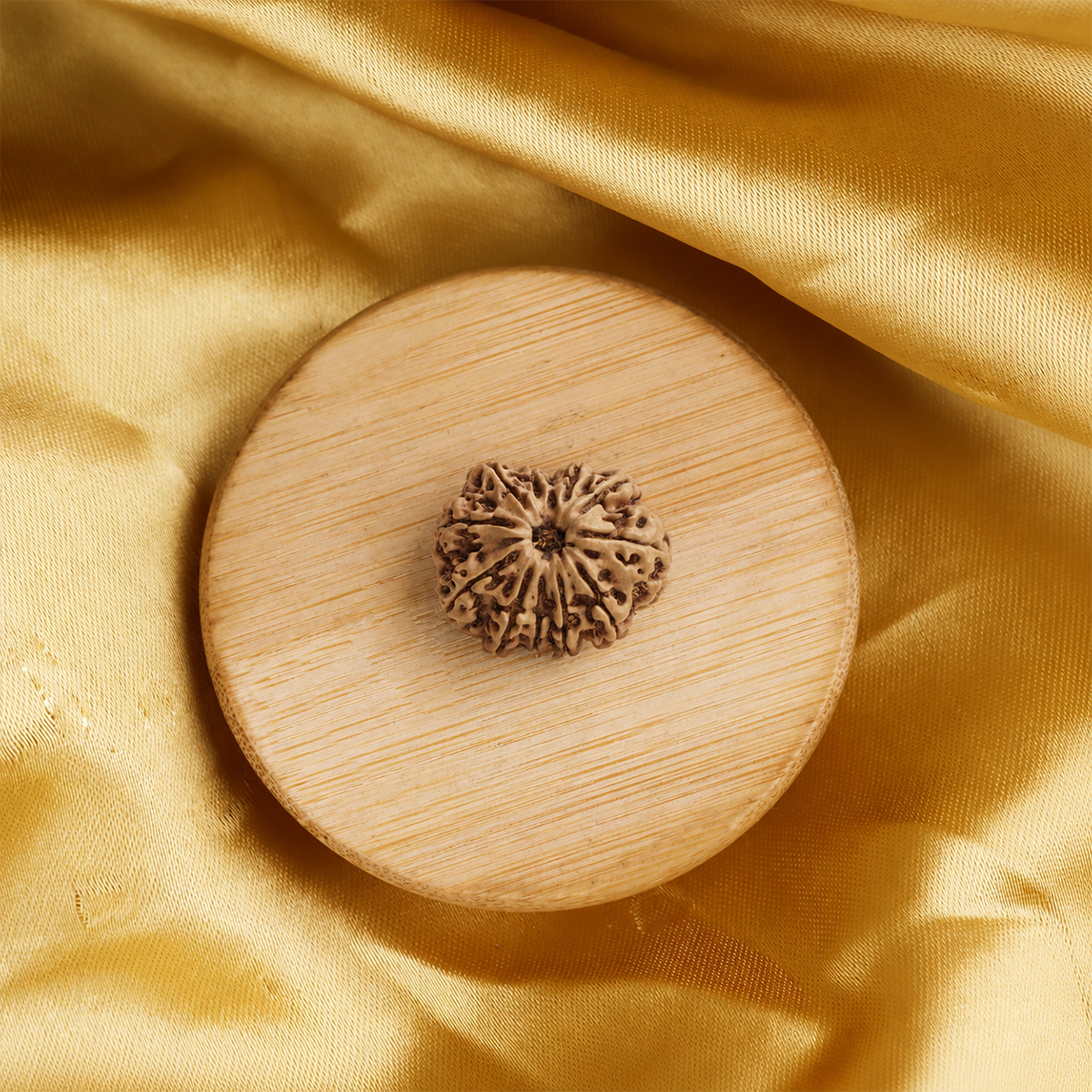 12 Face Rudraksha (6) 12 face rudraksha
