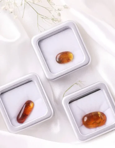 amber cabochon with insect