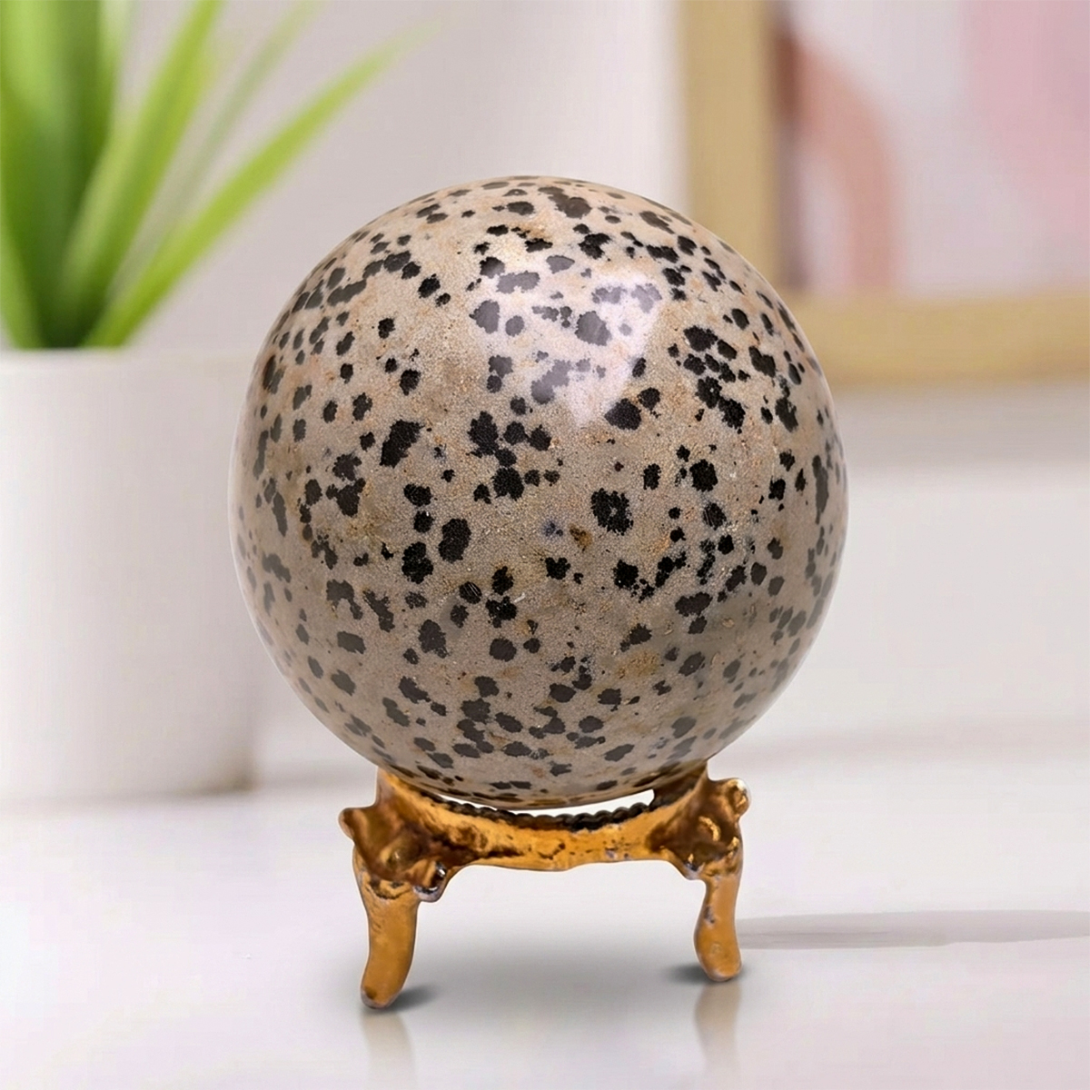 Dalmation Jasper Sphere (3) dalmation jasper sphere
