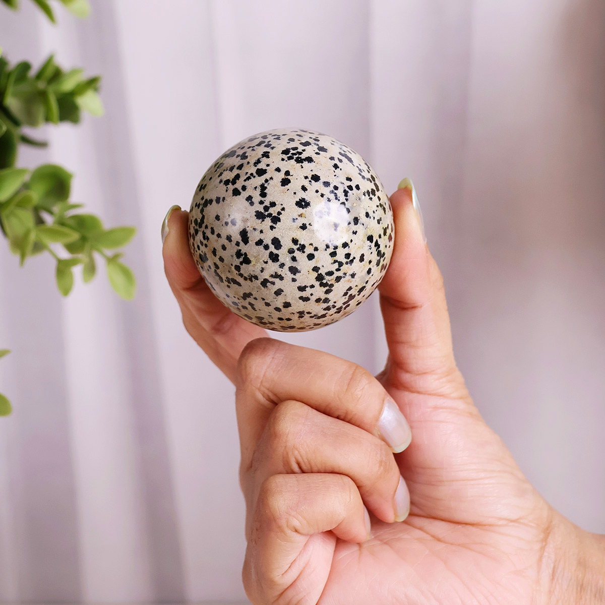 Dalmation Jasper Sphere (4) dalmation jasper sphere