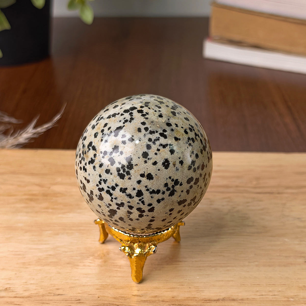 Dalmation Jasper Sphere (5) dalmation jasper sphere