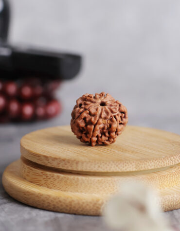 eight face rudraksha