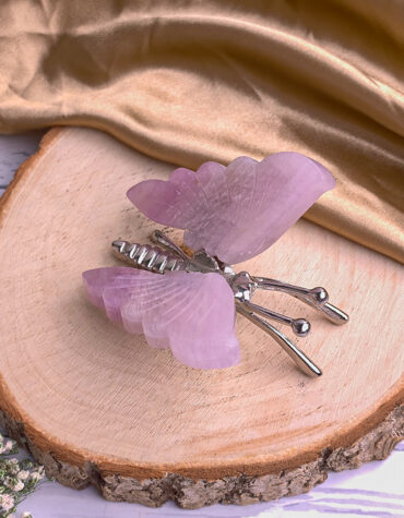 fluorite butterfly