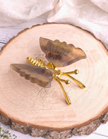 fluorite butterfly