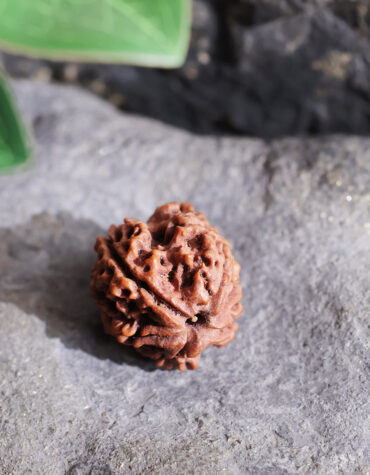 ganesh face rudraksha